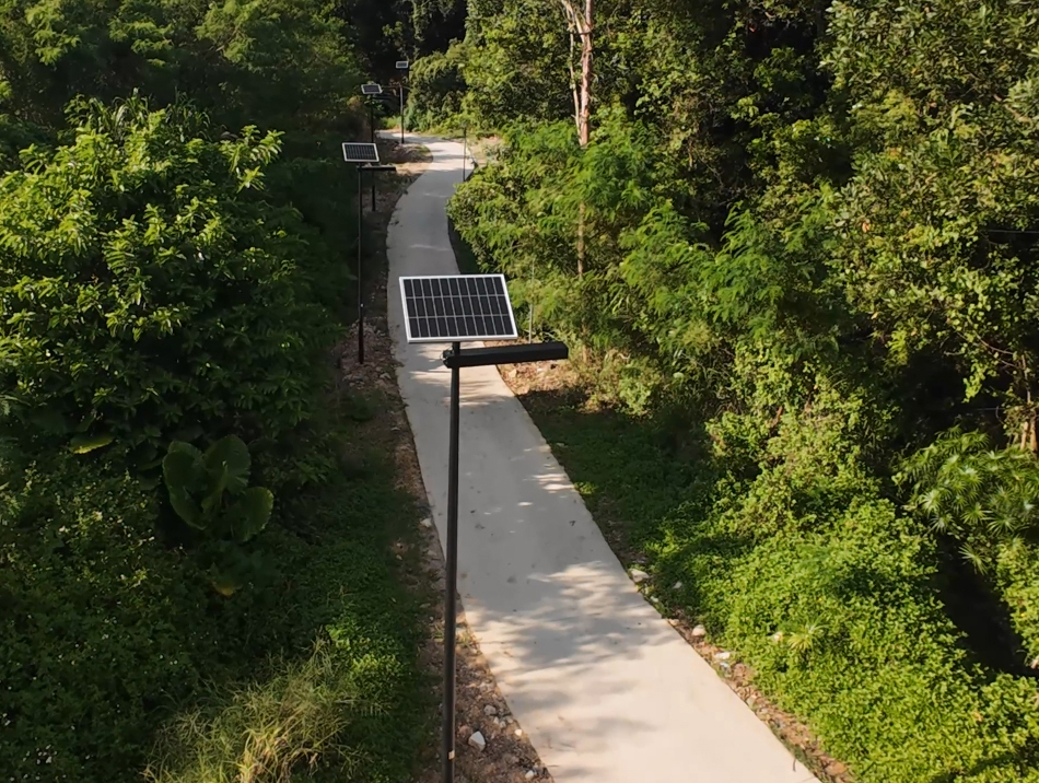 Farm vegetable field road lighting project installation