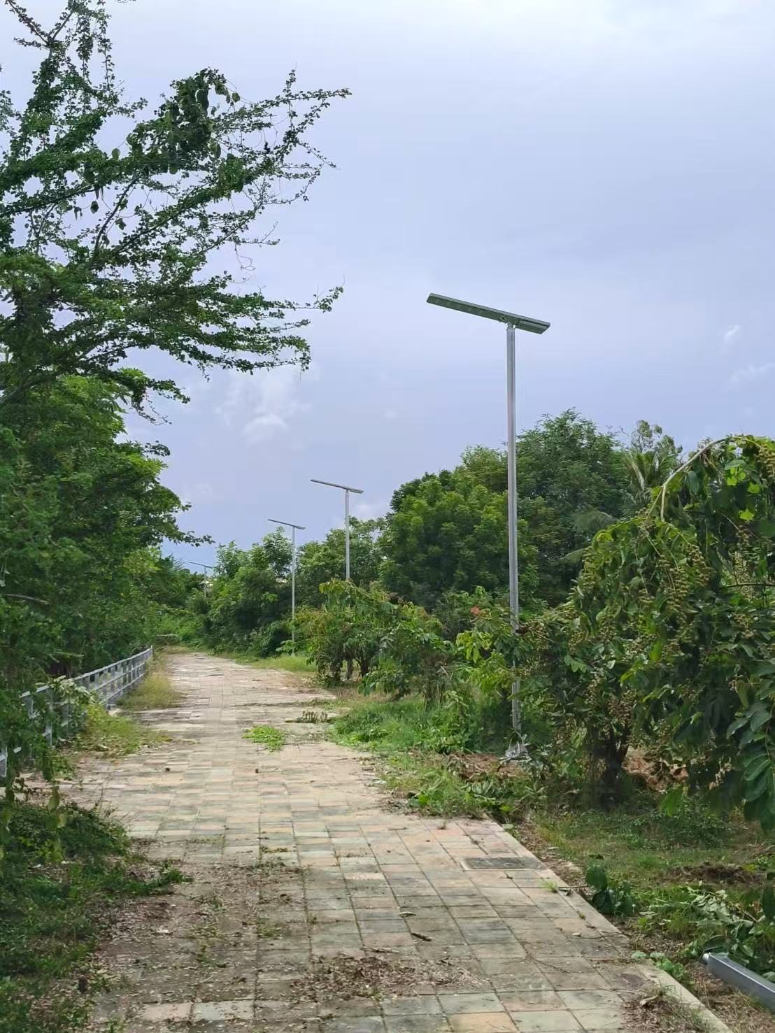 ASP plus -4E series all in one solar street light cases