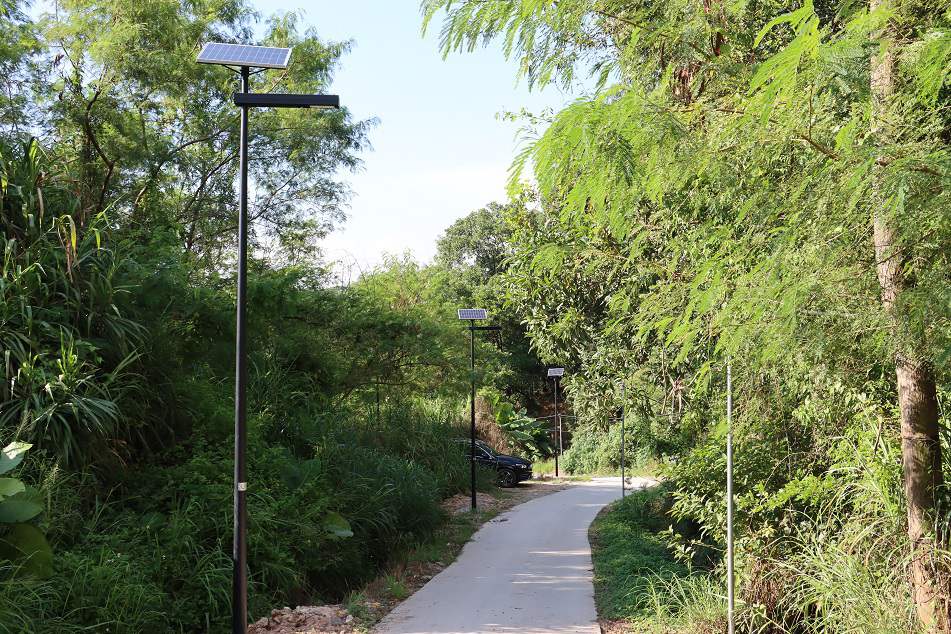 Hongtian Village Road Lighting, MX Series Solar Street Light Project