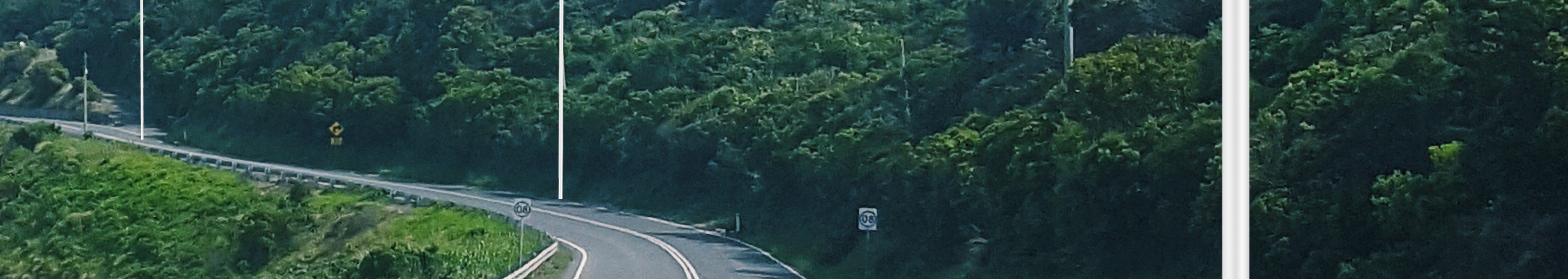 ASP PLUS all in one integrated solar street light Intelligent Control Solar Luminaires(图2)