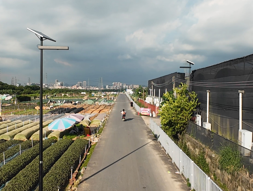 Farm vegetable field road lighting project installation